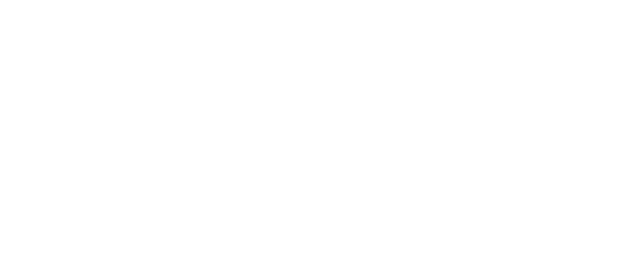 TONCHO GUIDE