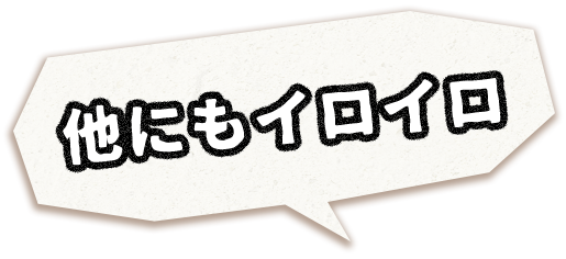 他にもイロイロ