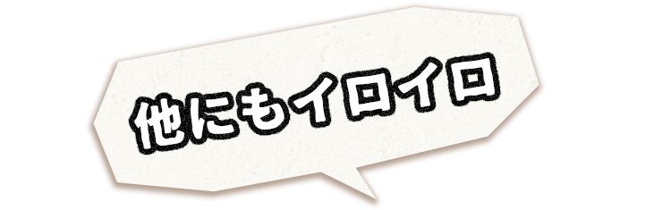 他にもイロイロ